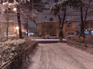 prima-ninsoare-20093